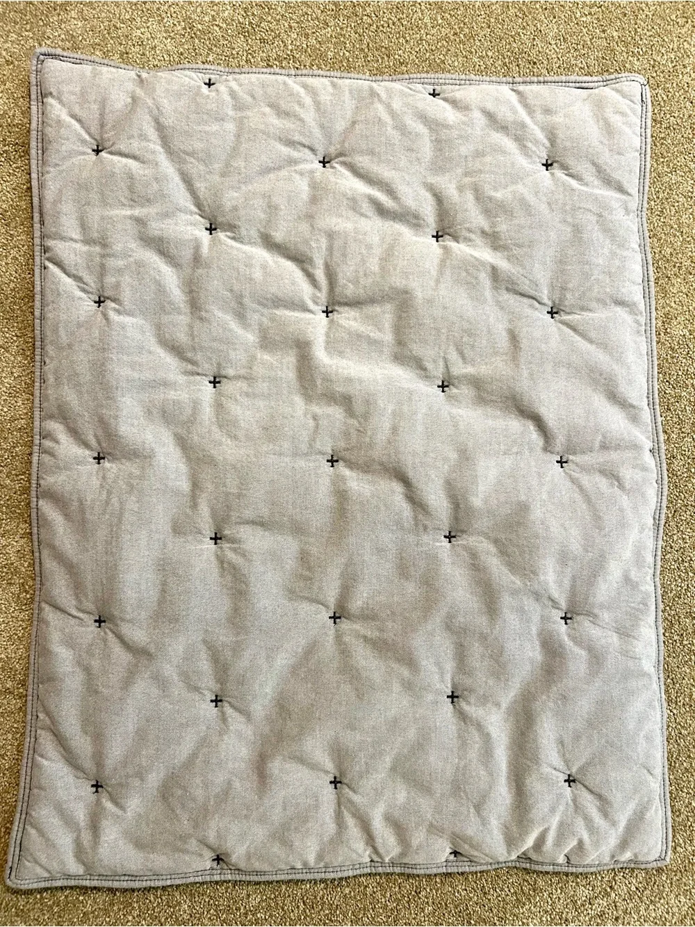 West Elm Organic Oxford Standard Pillow Sham